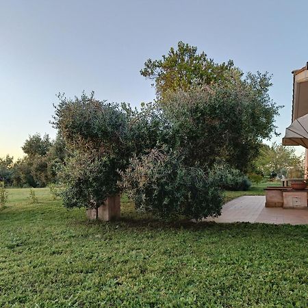Agriturismo Fontelupo Bracciano  Eksteriør bilde