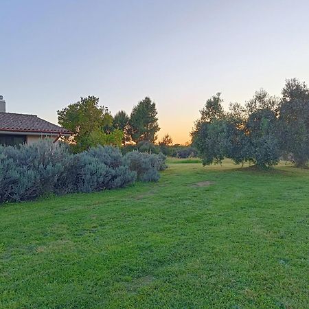 Agriturismo Fontelupo Bracciano  Eksteriør bilde