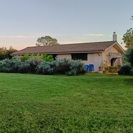 Agriturismo Fontelupo Bracciano  Eksteriør bilde