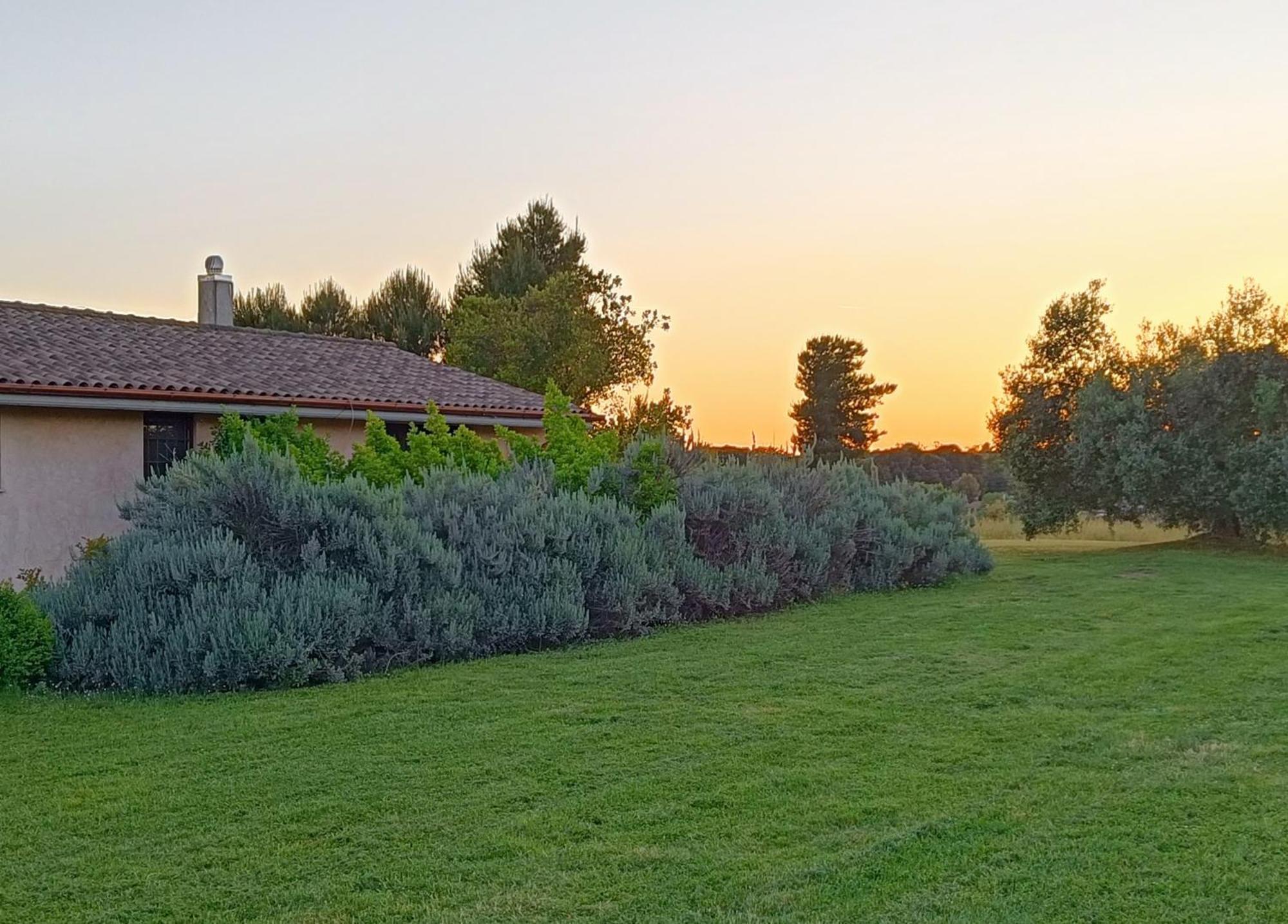 Agriturismo Fontelupo Bracciano  Eksteriør bilde