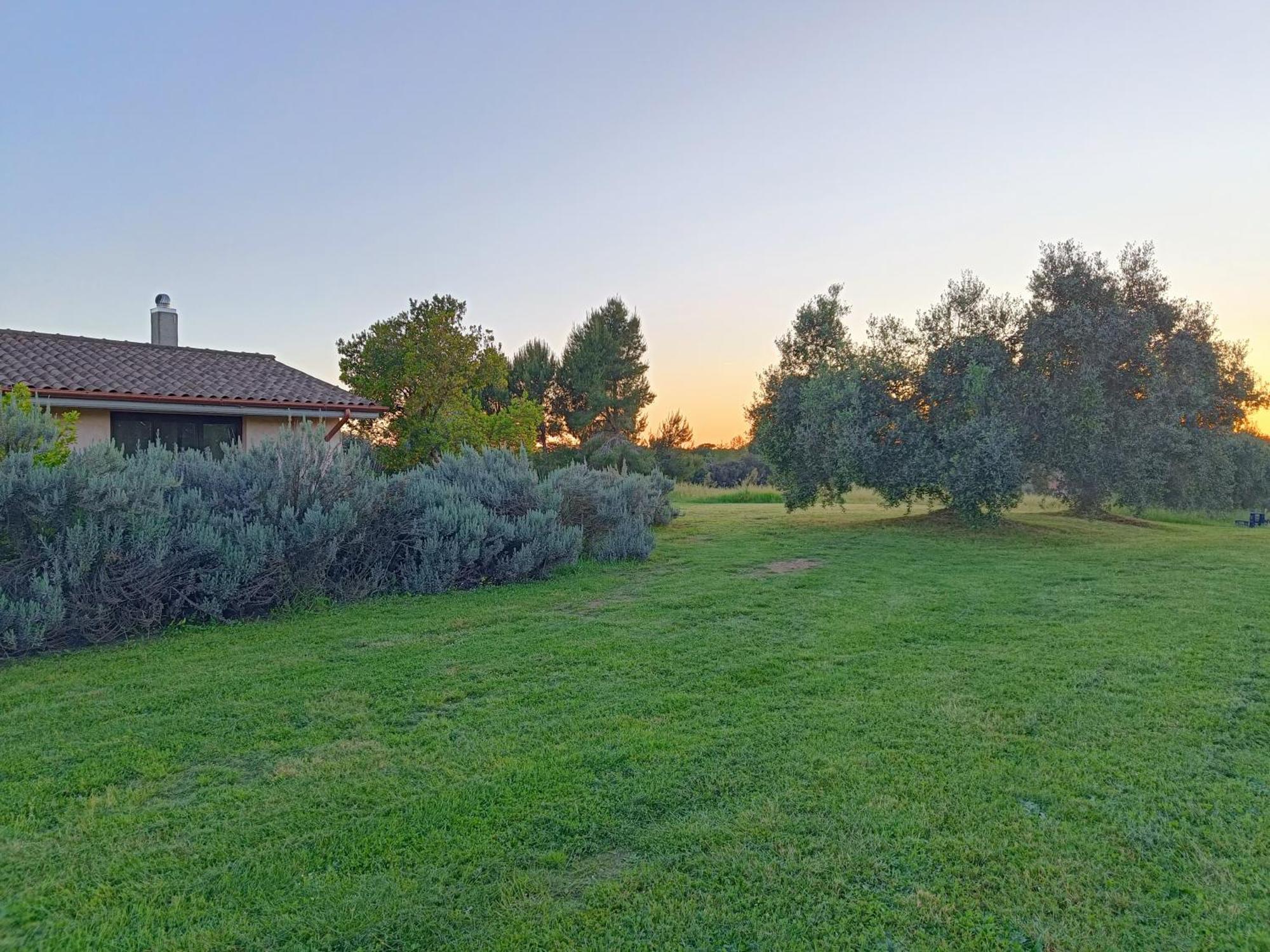 Agriturismo Fontelupo Bracciano  Eksteriør bilde