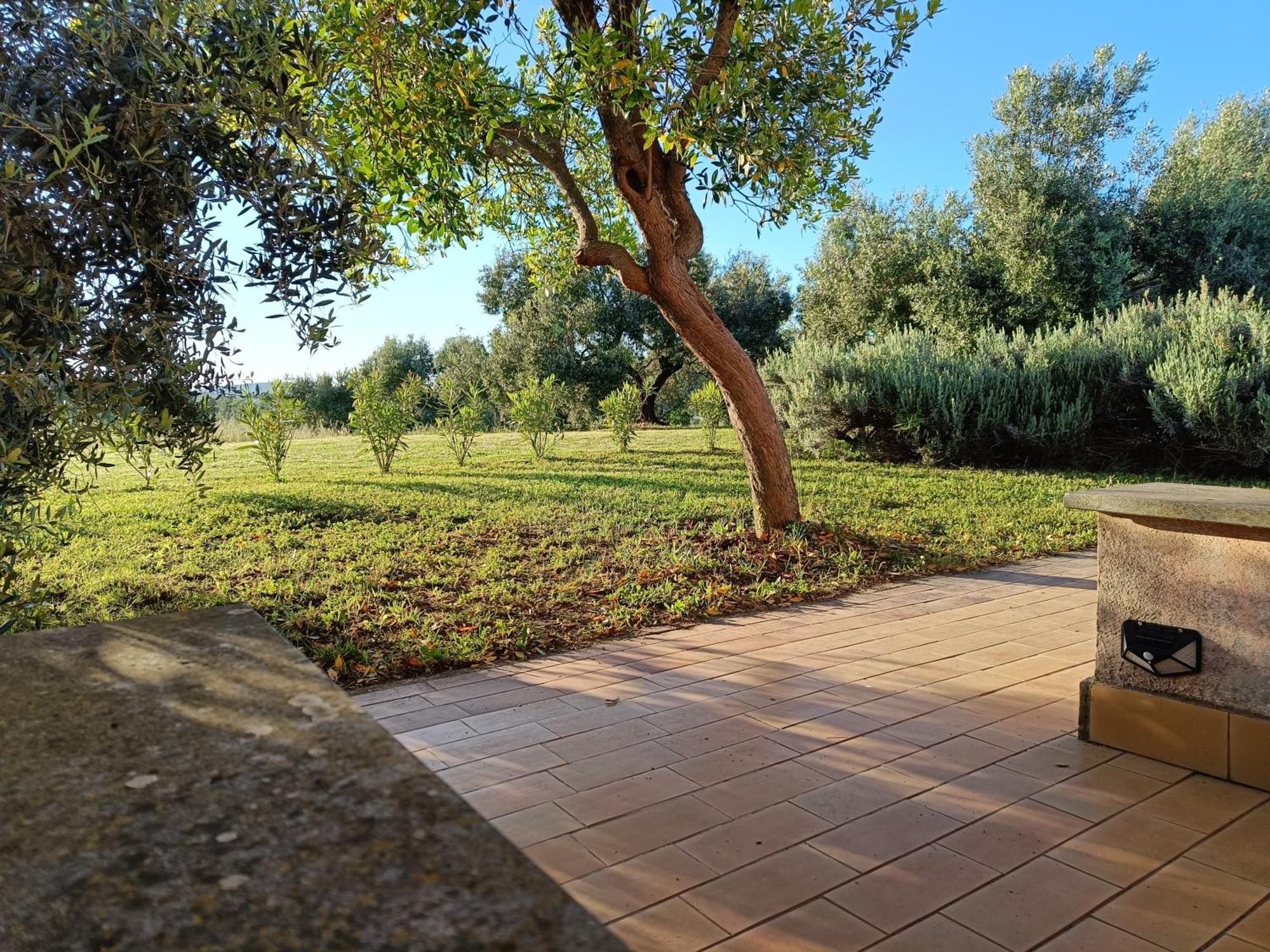Agriturismo Fontelupo Bracciano  Eksteriør bilde