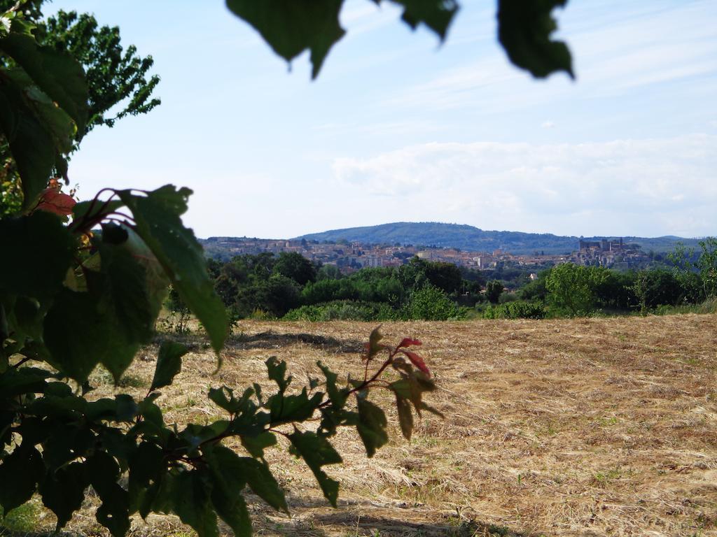 Agriturismo Fontelupo Bracciano  Eksteriør bilde